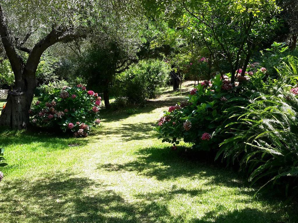 Villa Galini Sívota Extérieur photo