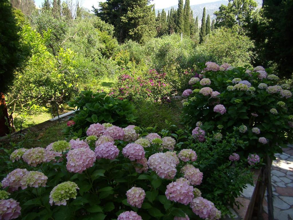 Villa Galini Sívota Extérieur photo